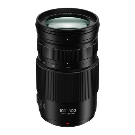Panasonic Lumix G Vario 100-300mm f/4.0-5.6 II Power O.I.S
