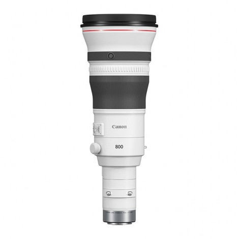 Canon RF 800mm f/5.6 L IS USM