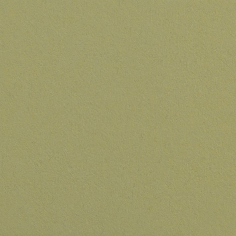 Superior Fundo Cartolina 13 Tropical Green - 1,35x11mt