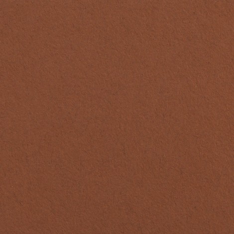 Superior Fundo Cartolina 67 Nutmeg - 2,72x11mt