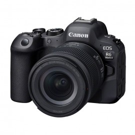 Canon EOS R6 Mark II + 24-105mm f/4-7.1 IS STM