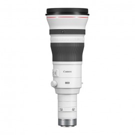 Canon RF 800mm f/5.6 L IS USM