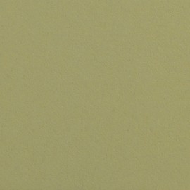 Superior Fundo Cartolina 13 Tropical Green - 1,35x11mt