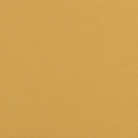 Superior Fundo Cartolina 18 Buff - 2,72x11mt