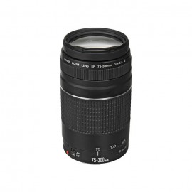 Canon EF 75-300mm f/4-5.6 DC III 