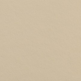 Superior Fundo Cartolina 64 Fawn - 2,72x11mt