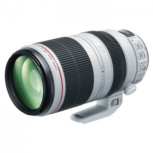 Canon EF 100-400mm f/4.5-5.6 L IS II USM