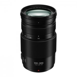 Panasonic Lumix G Vario 100-300mm f/4.0-5.6 II Power O.I.S