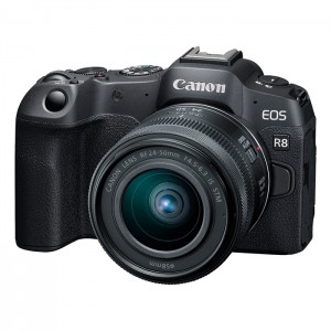 Canon EOS R8 + RF 24-50mm IS STM