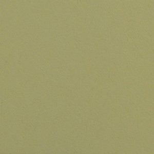 Superior Fundo Cartolina 13 Tropical Green - 1,35x11mt