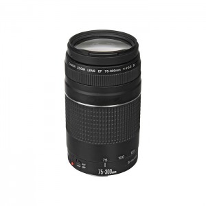 Canon EF 75-300mm f/4-5.6 DC III 