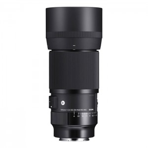 Sigma 105mm f/2.8 DG DN Macro (A) - Sony E