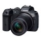 Canon EOS R7 + RF-S 18-150mm