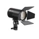 Godox Flash Witstro AD100 Pro
