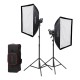 Godox VideoLight SL60llD Duo Kit